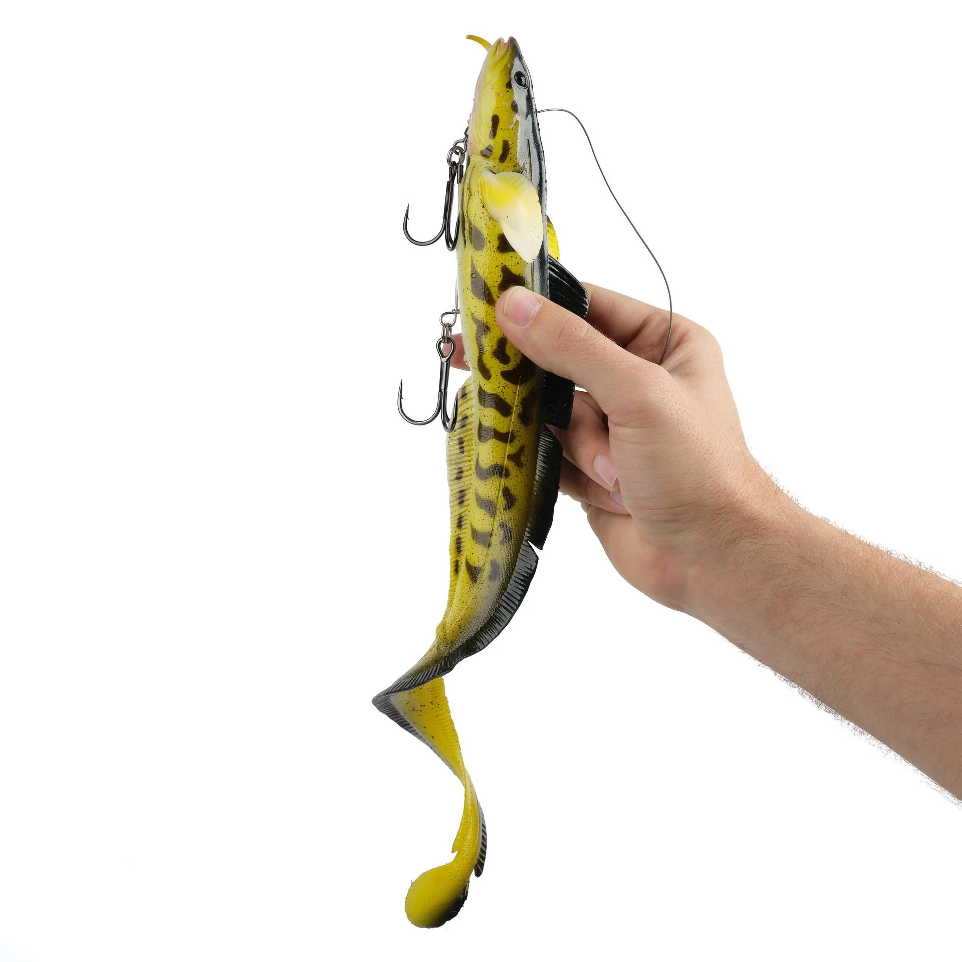 3D Burbot - Image 16