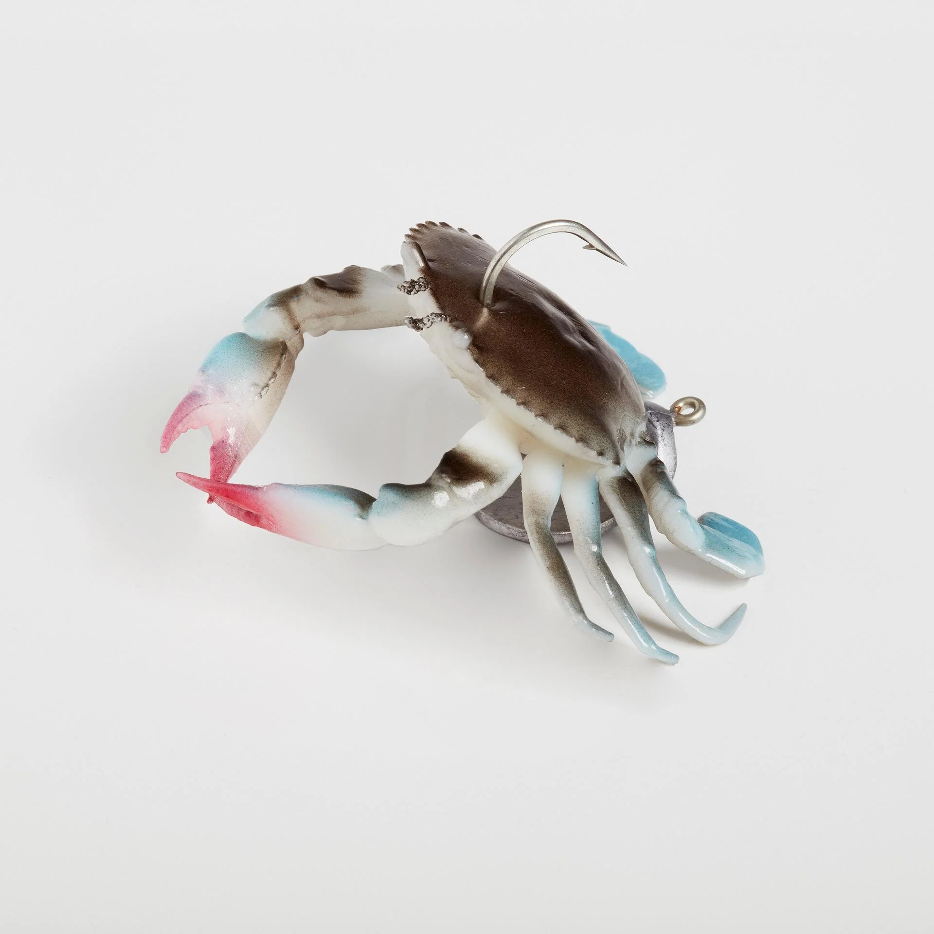 3D Crab TPE - Image 3