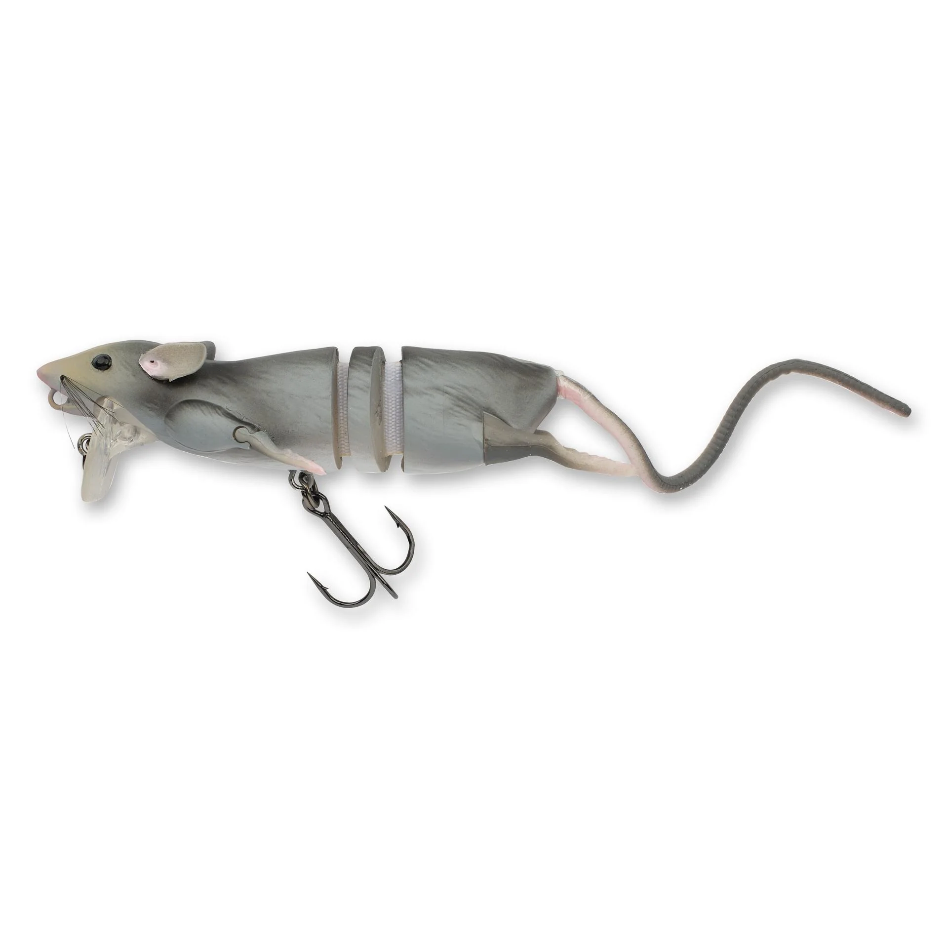 3D Rat - Image 11