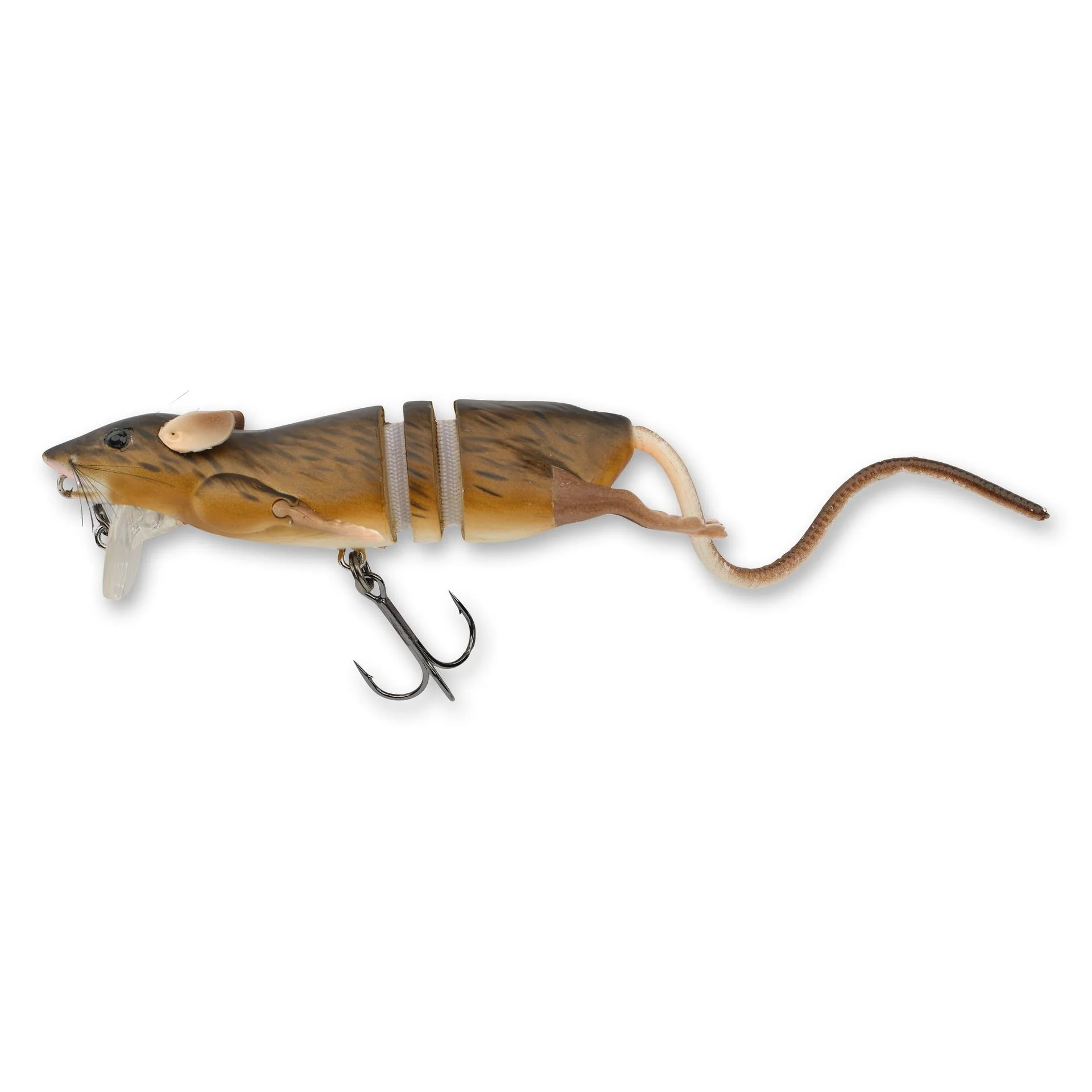 3D Rat - Image 15