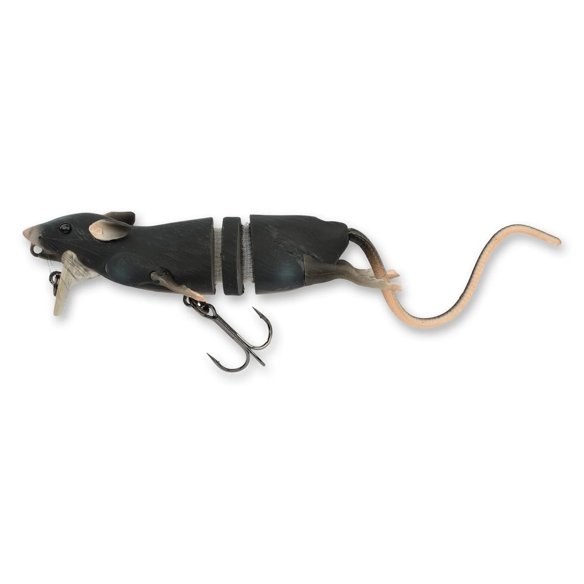 3D Rat - Image 18