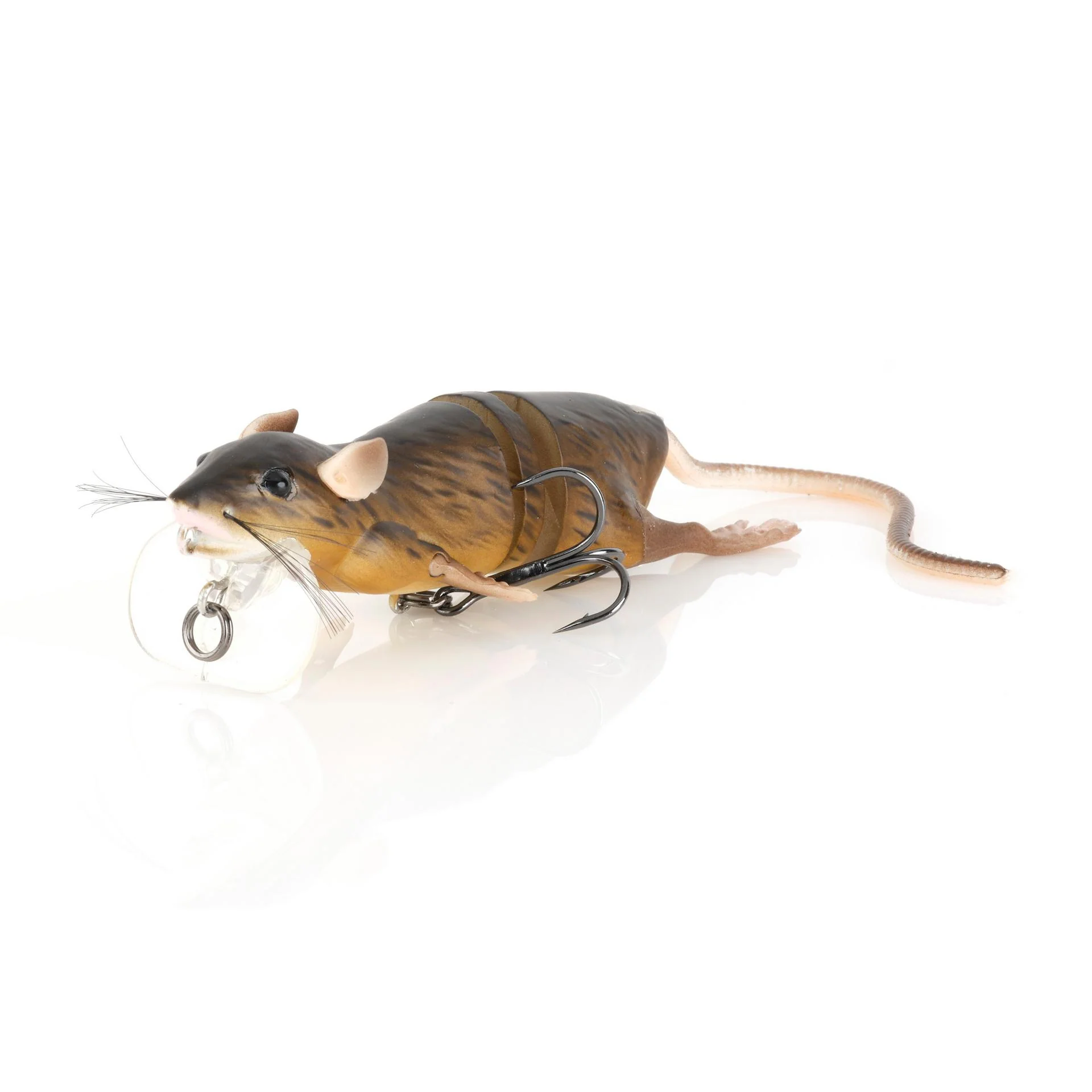 3D Rat - Image 6