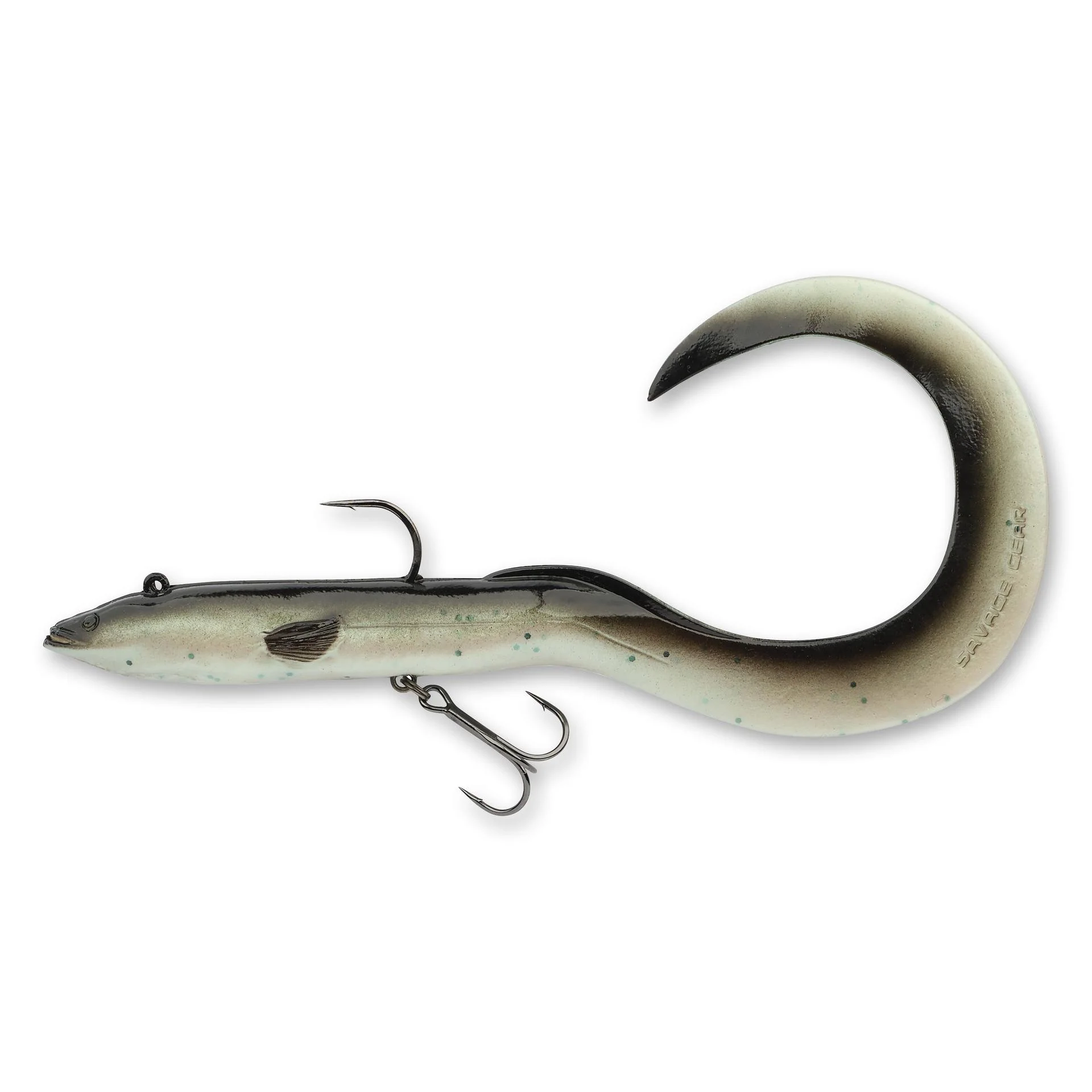 3D Real Eel - Image 20
