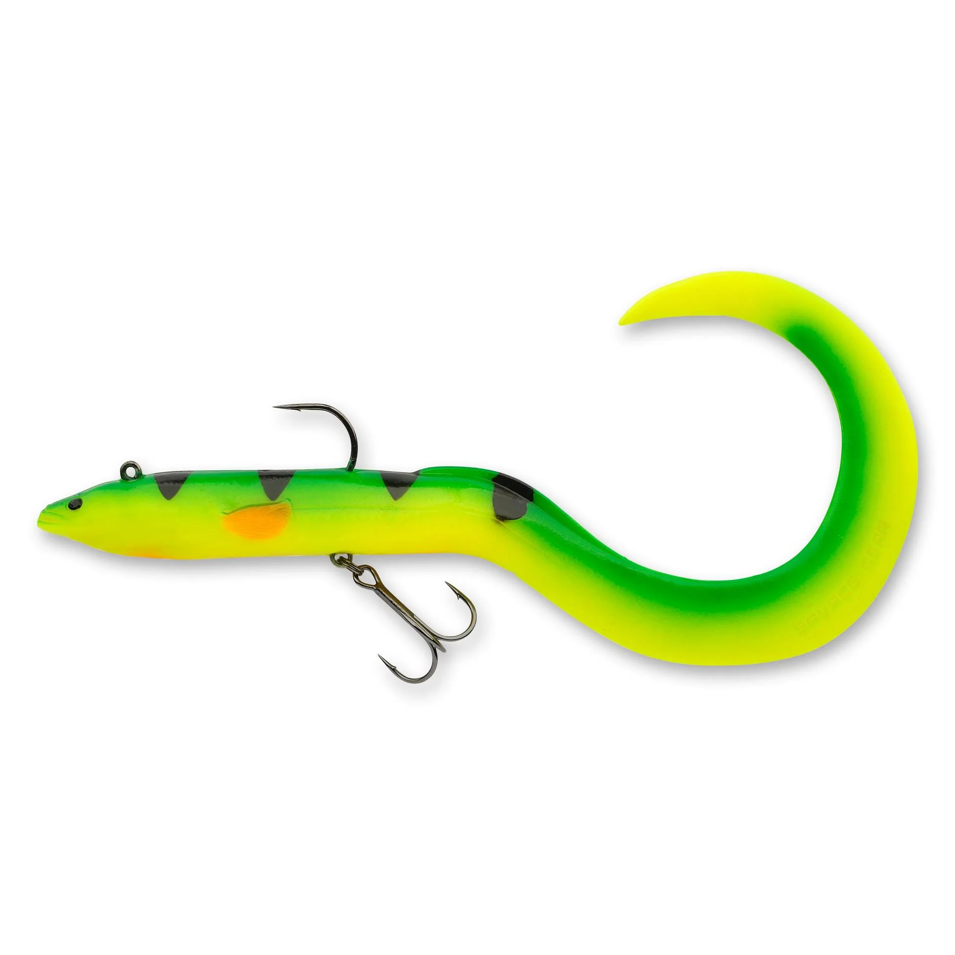 3D Real Eel - Image 21
