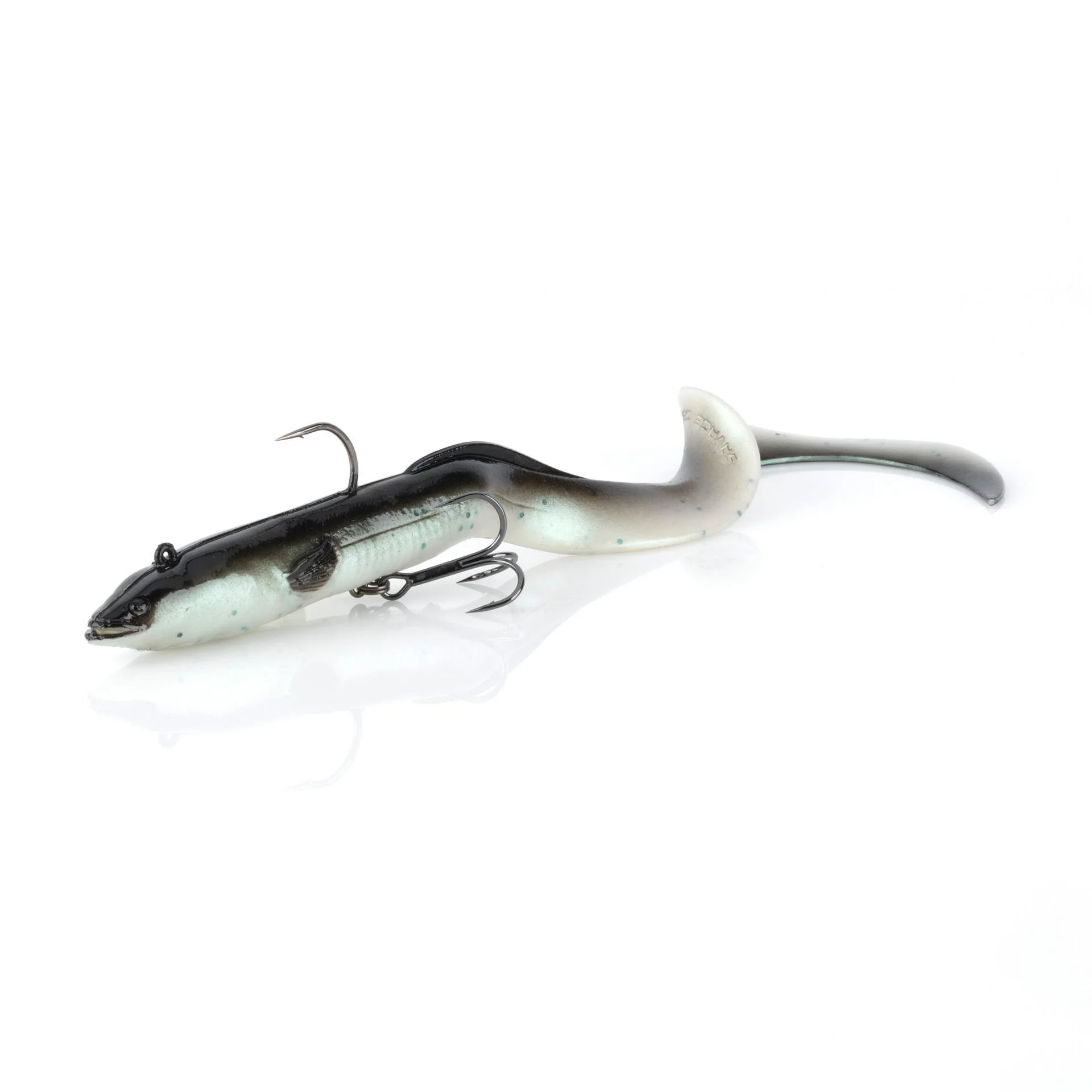3D Real Eel - Image 3