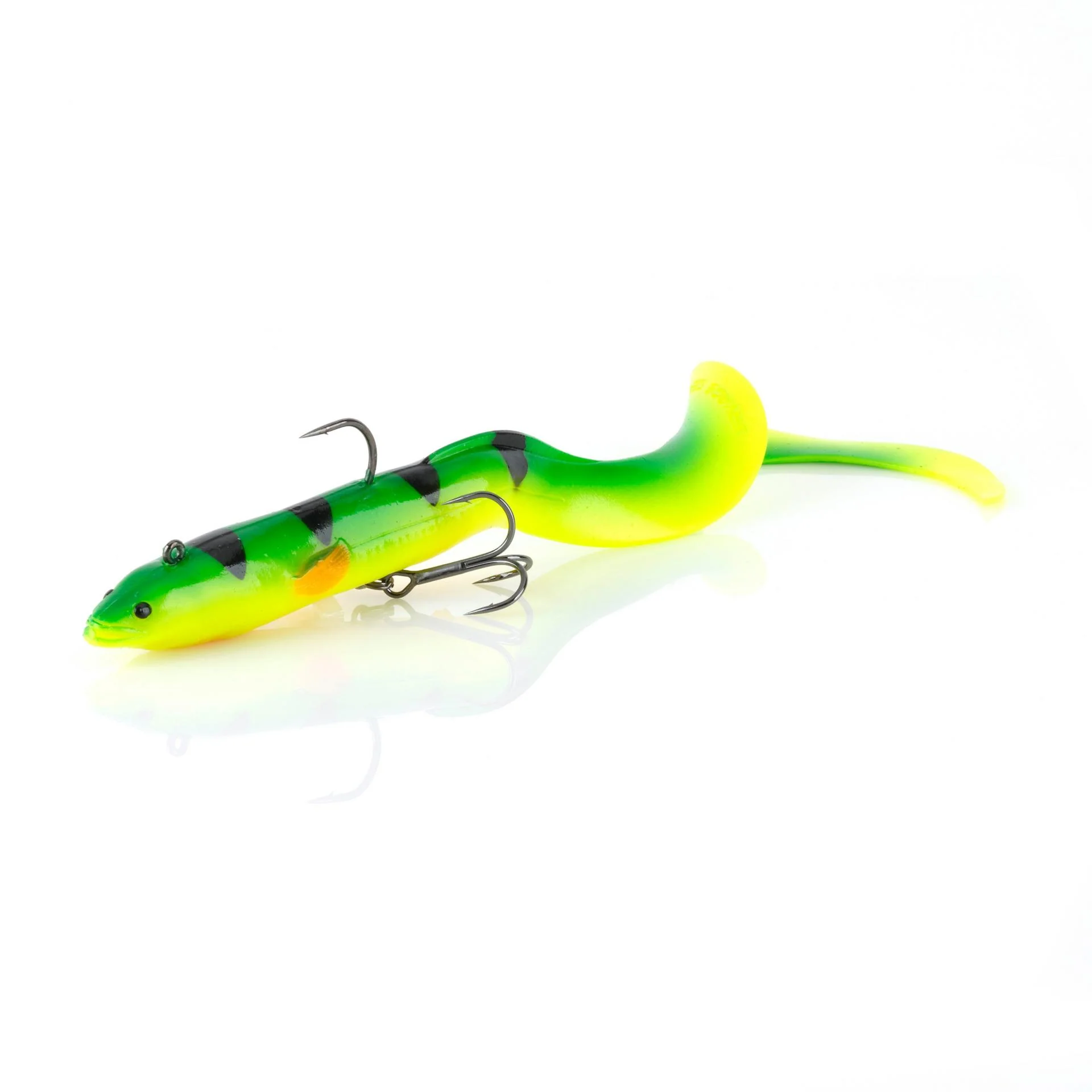 3D Real Eel - Image 4