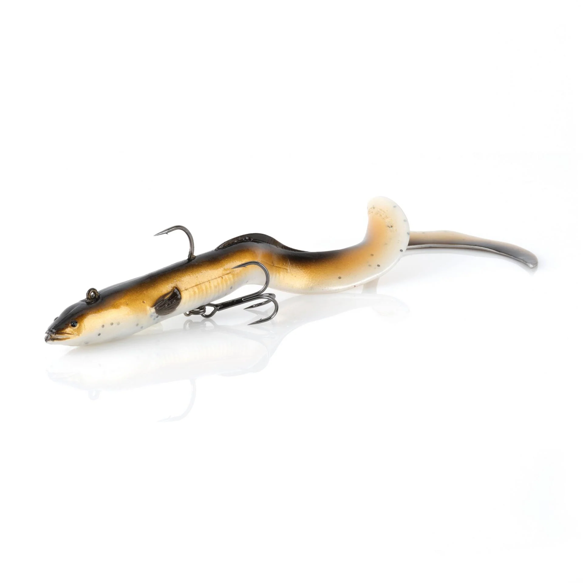 3D Real Eel - Image 6
