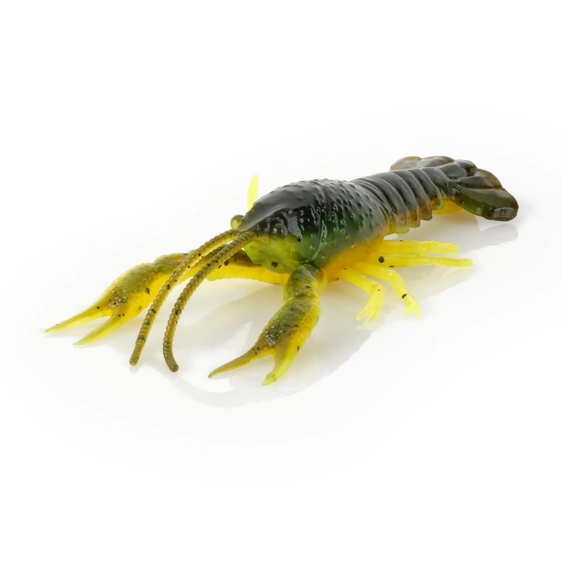 4D Craw - Image 12
