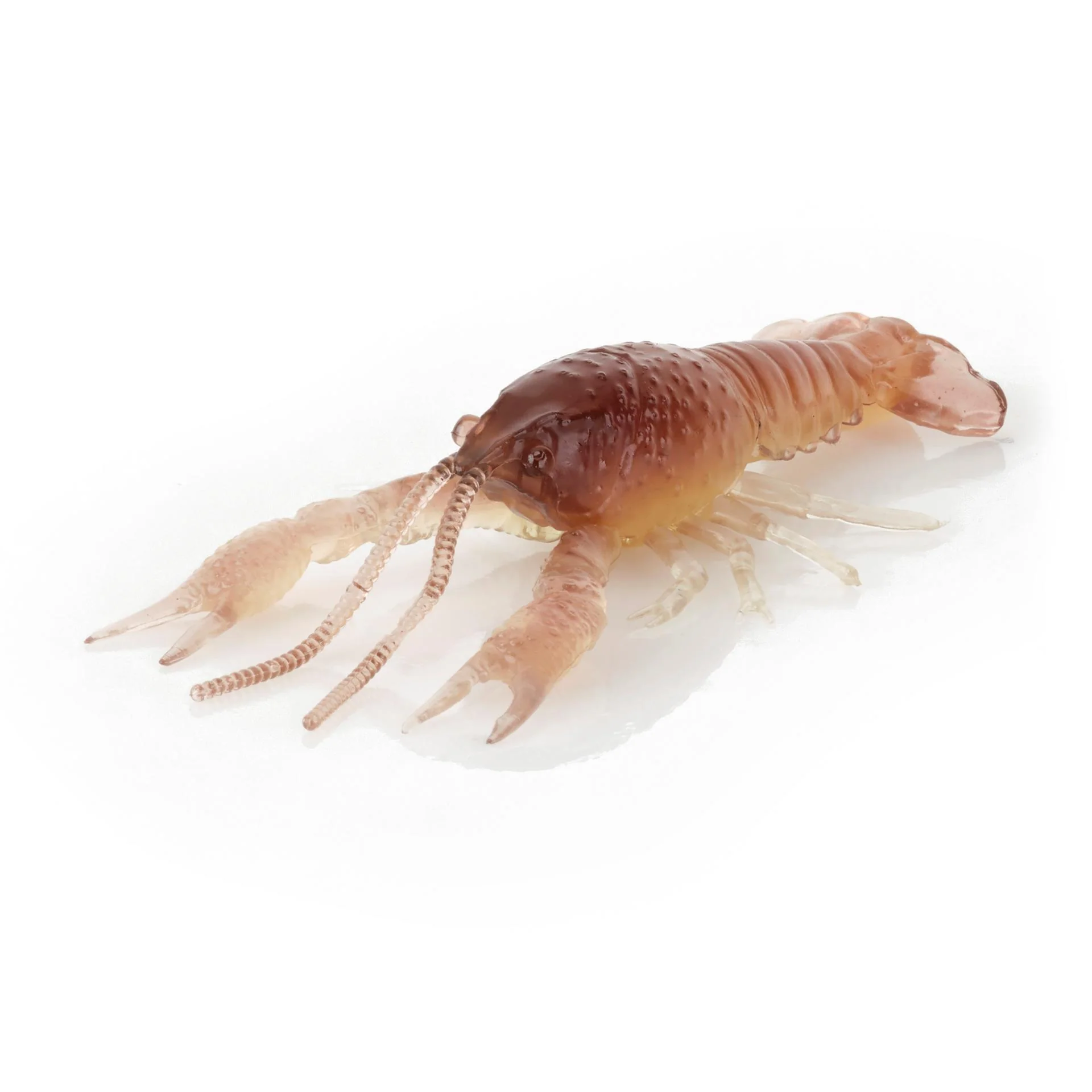 4D Craw - Image 18