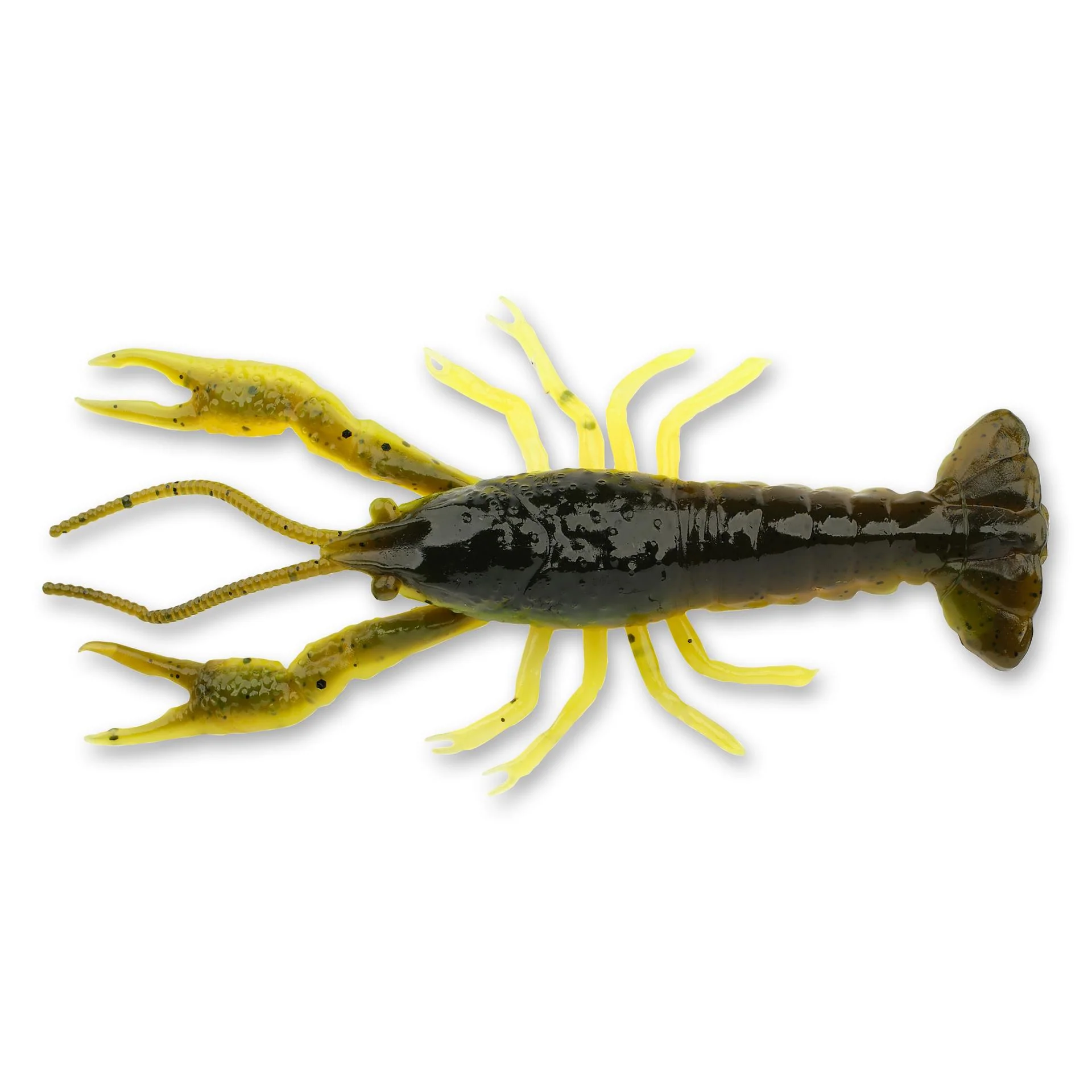 4D Craw - Image 22