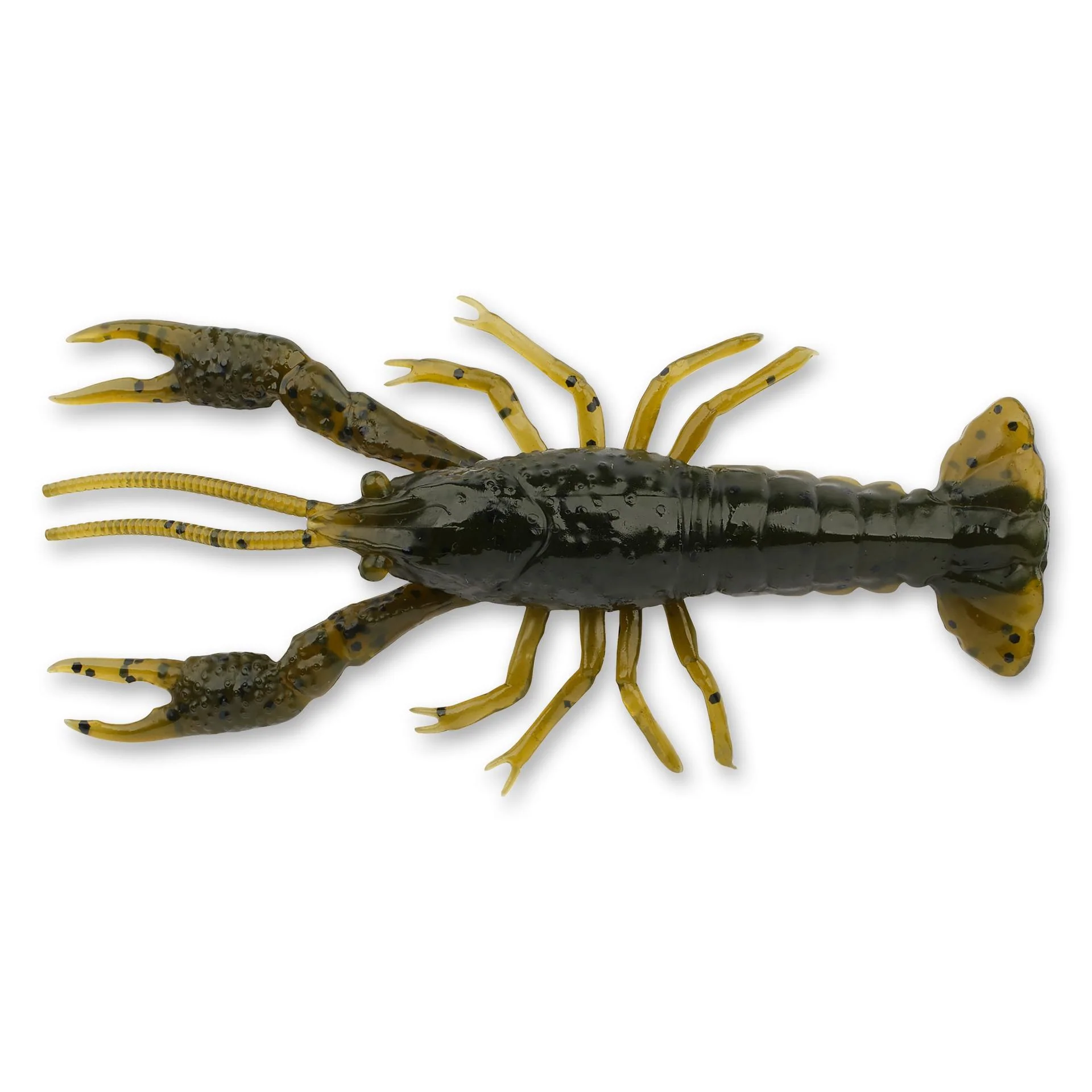 4D Craw - Image 26