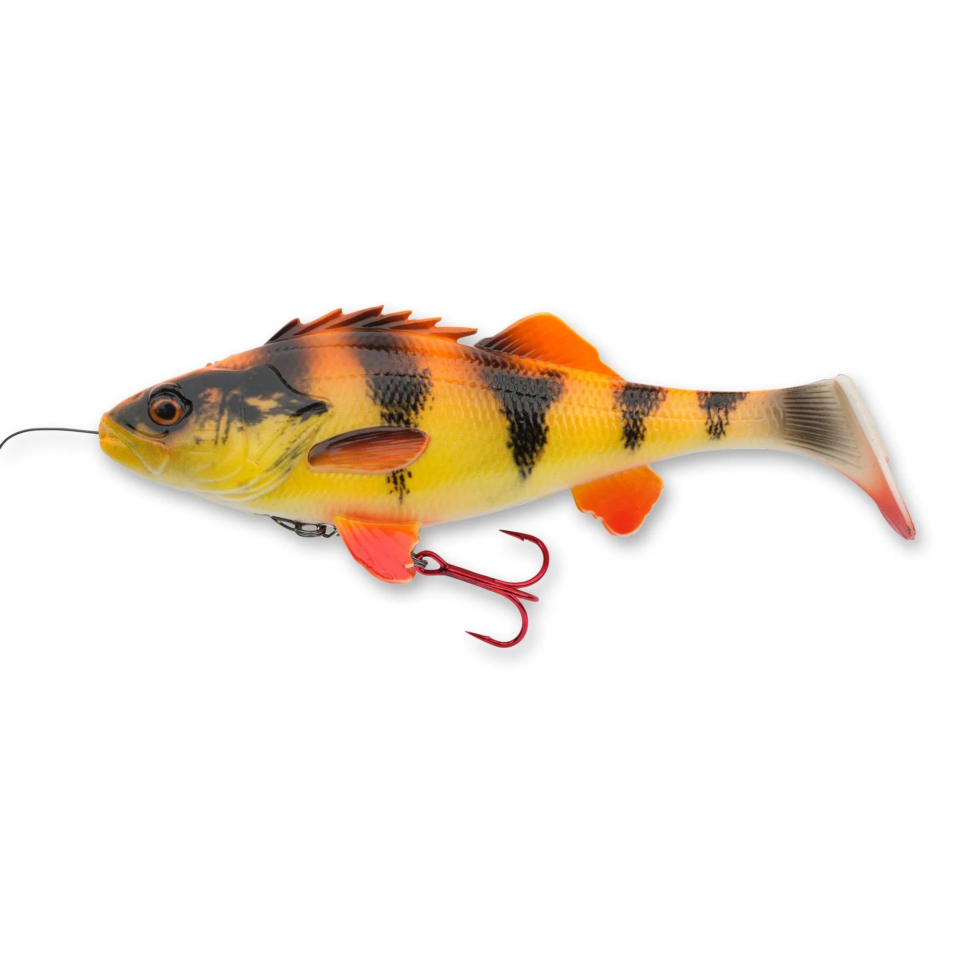 4D Line Thru Perch - Image 4