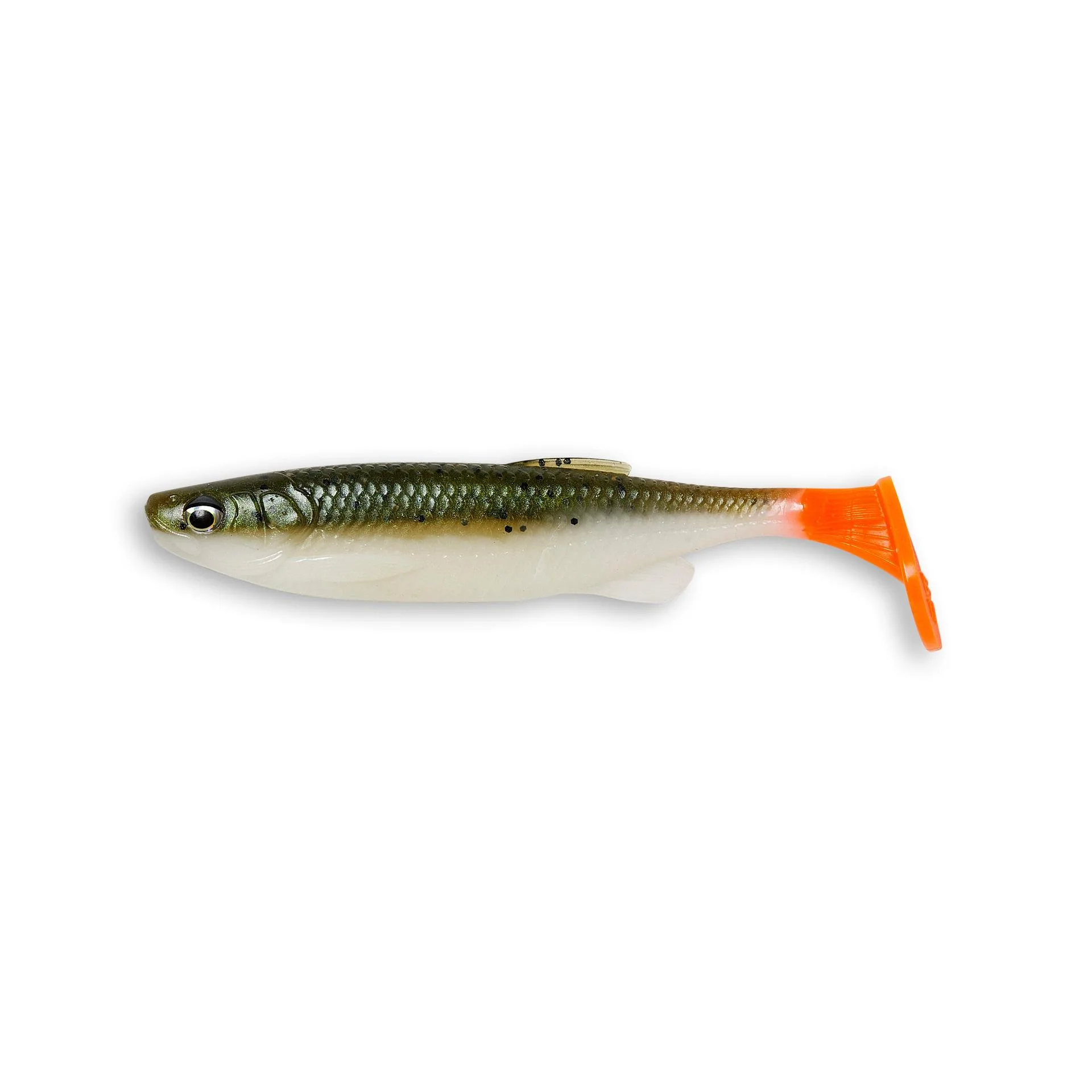 Fat T-Tail Minnow - Image 36