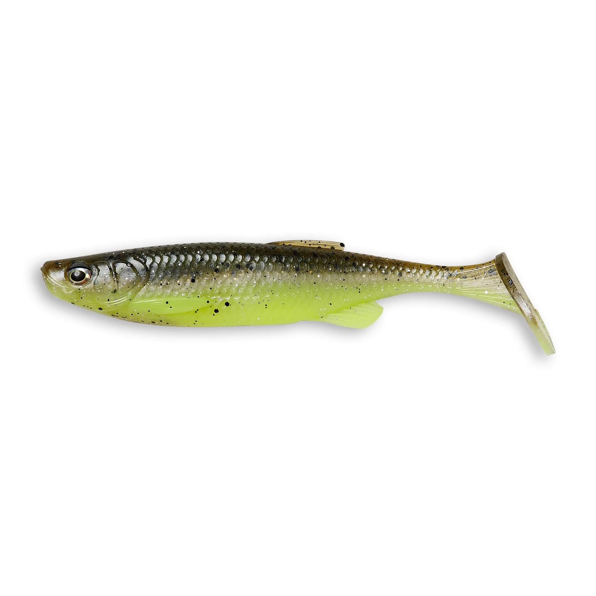 Fat T-Tail Minnow - Image 42
