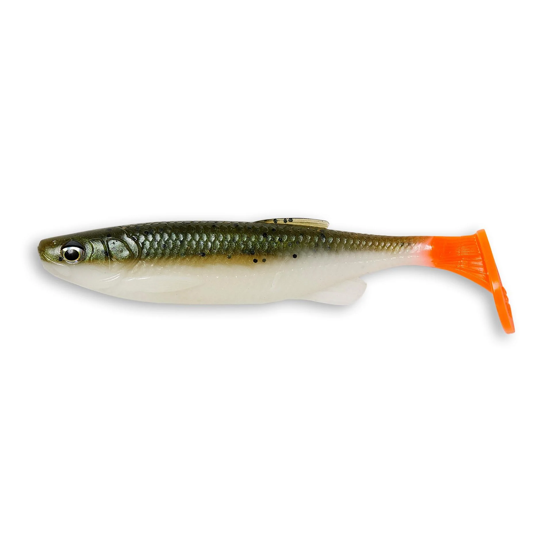 Fat T-Tail Minnow - Image 43