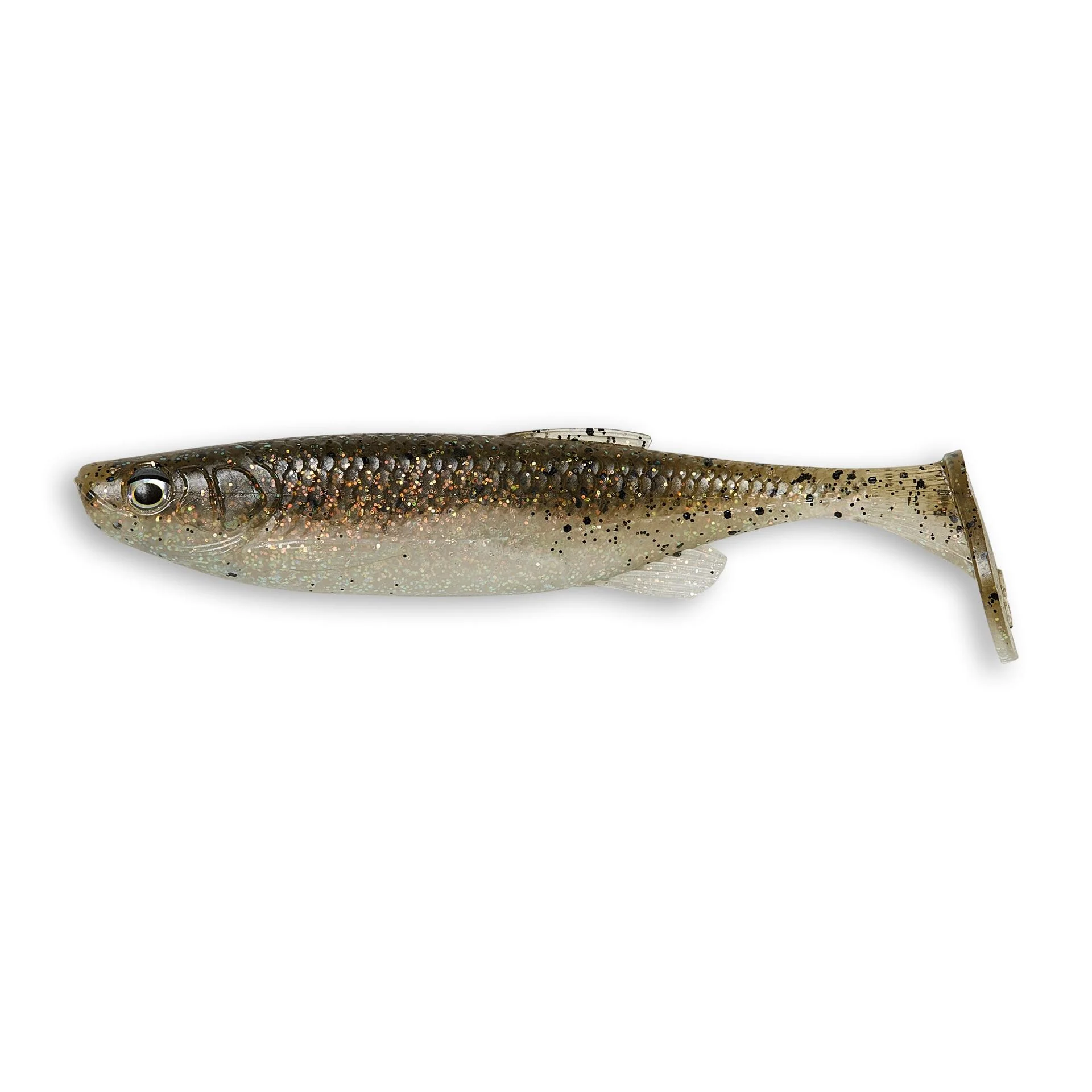 Fat T-Tail Minnow - Image 46