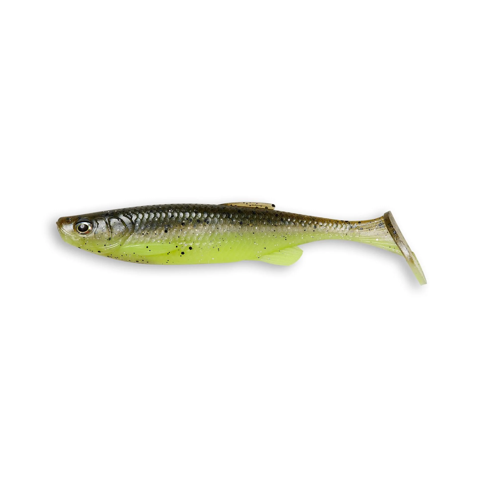 Fat T-Tail Minnow - Image 49