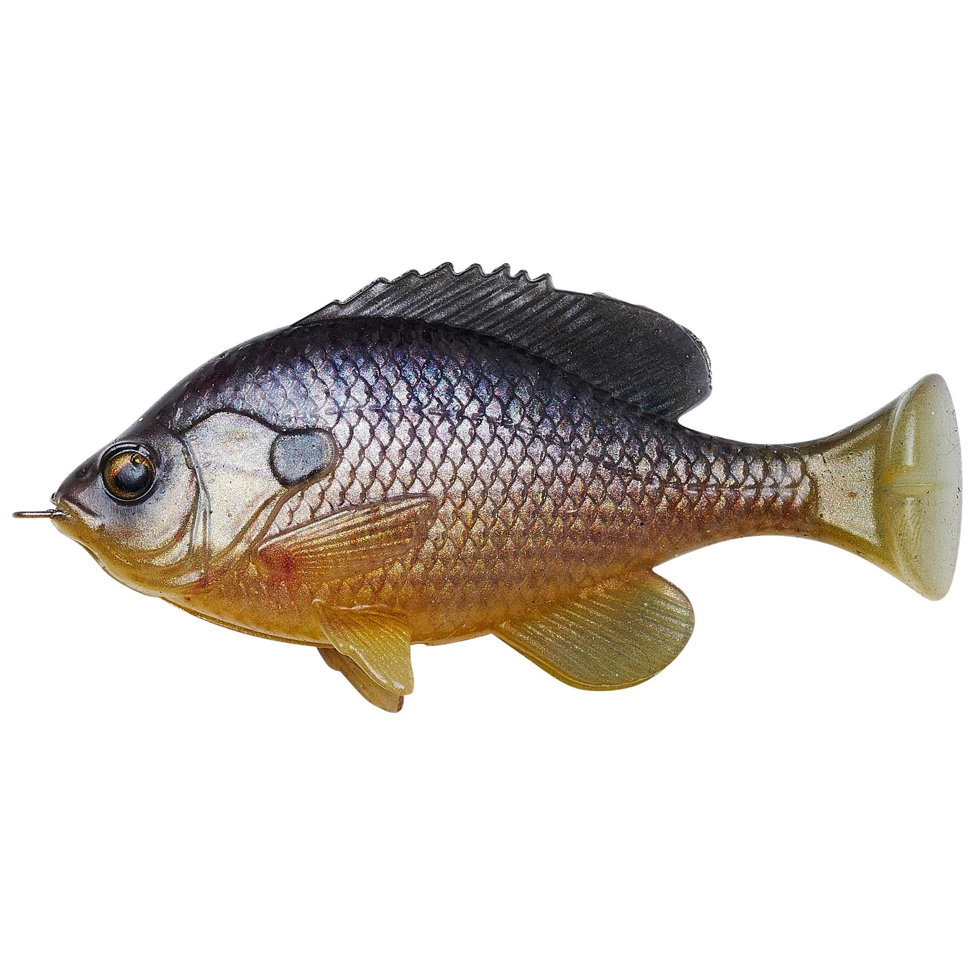 Pulse Tail Bluegill Loose Body - Image 10
