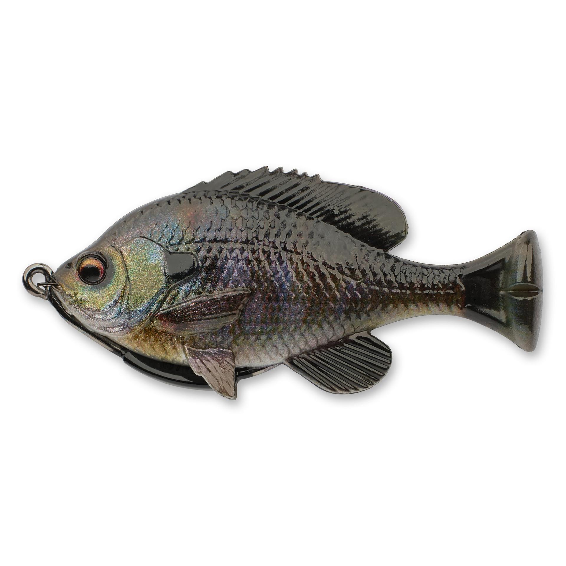 Pulse Tail Bluegill Loose Body - Image 21