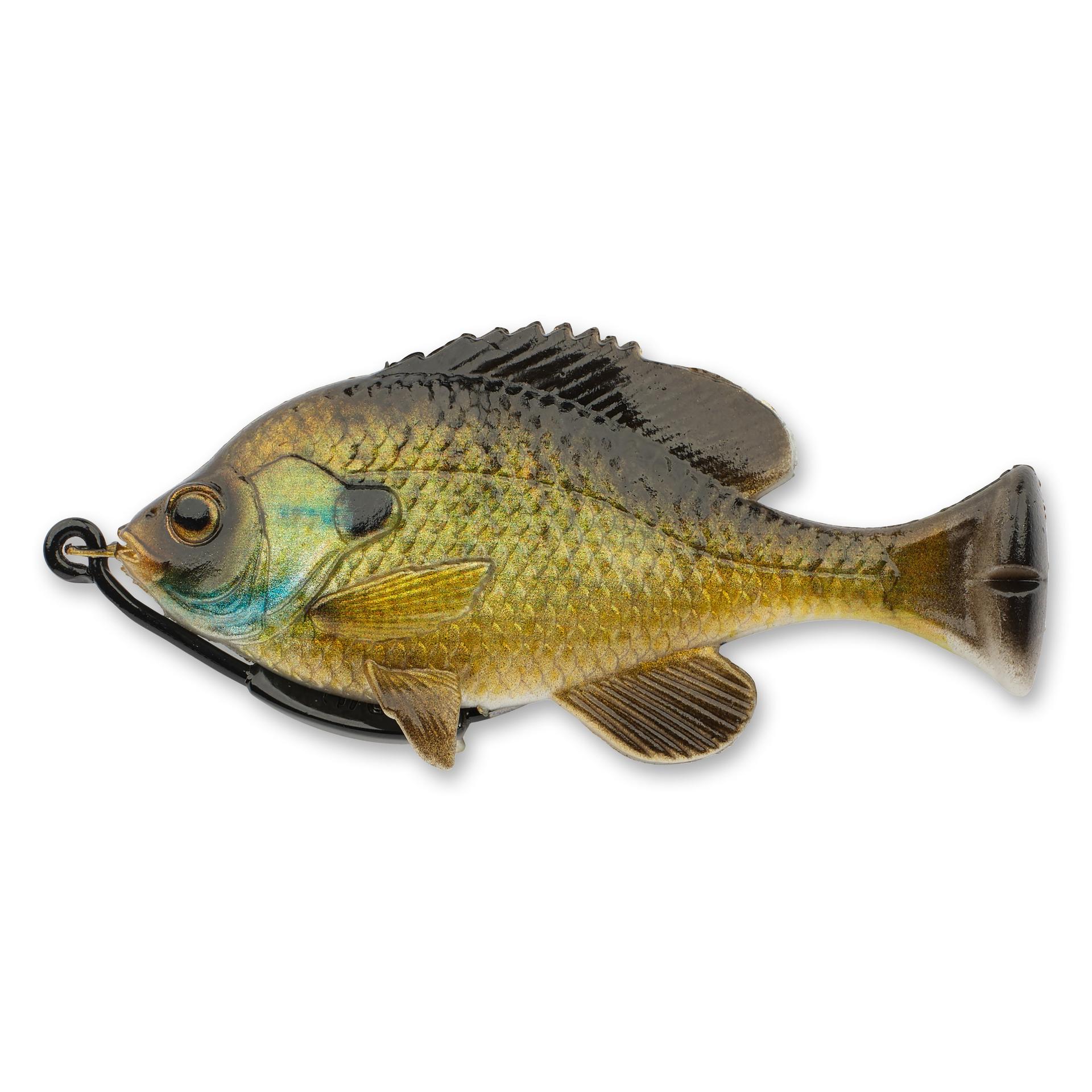 Pulse Tail Bluegill Loose Body - Image 24