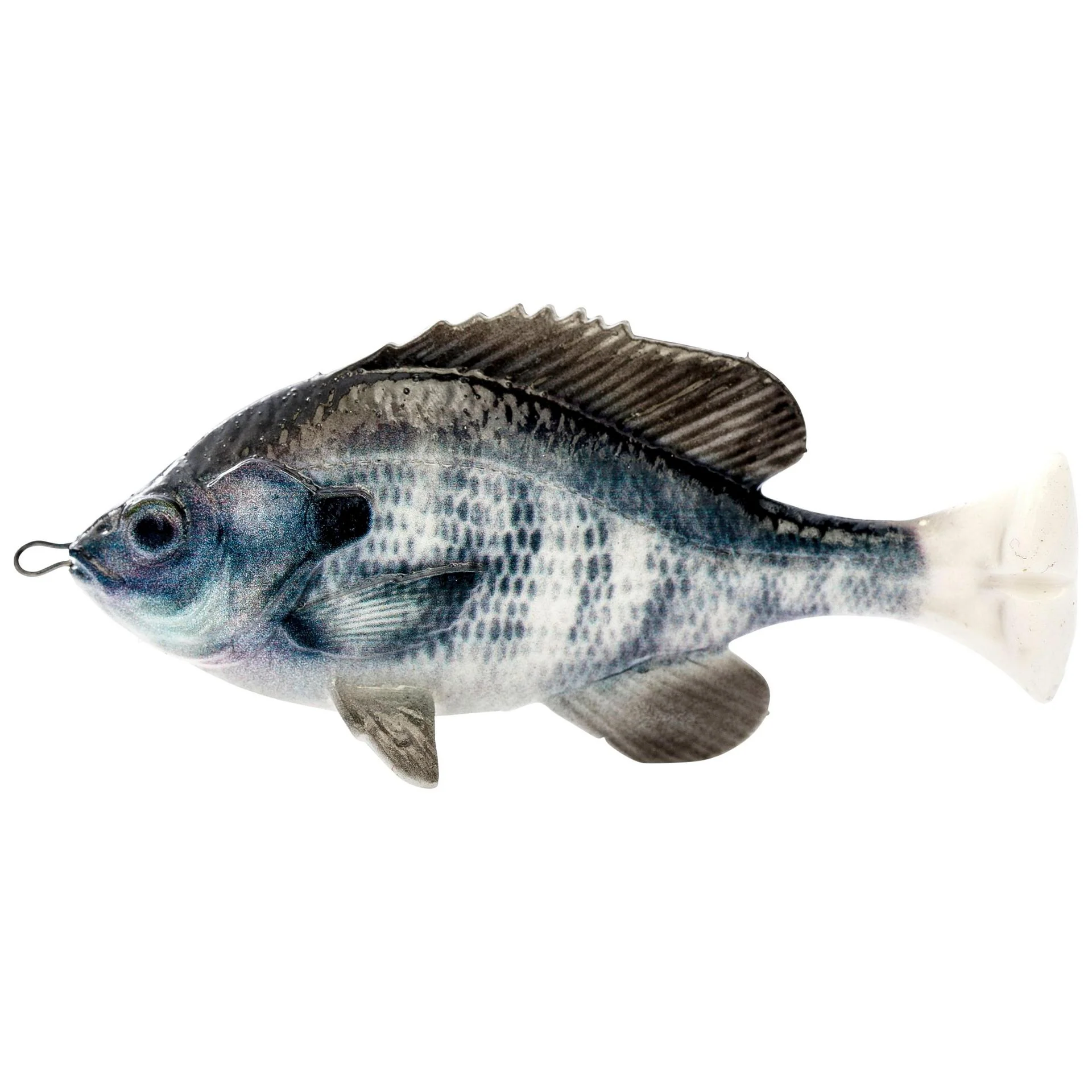 Pulse Tail Bluegill Loose Body - Image 4