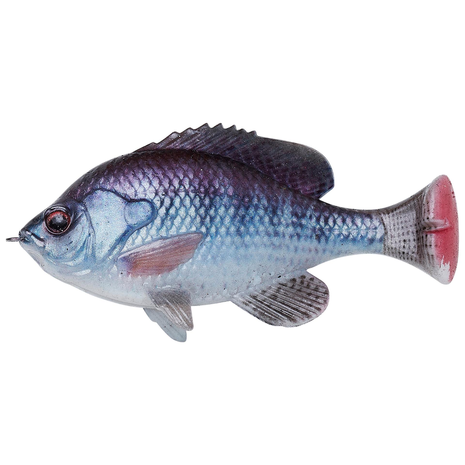 Pulse Tail Bluegill Loose Body - Image 9