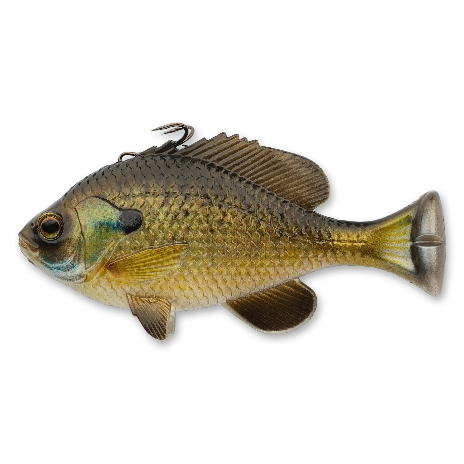 Pulse Tail Bluegill Line Thru - Image 19