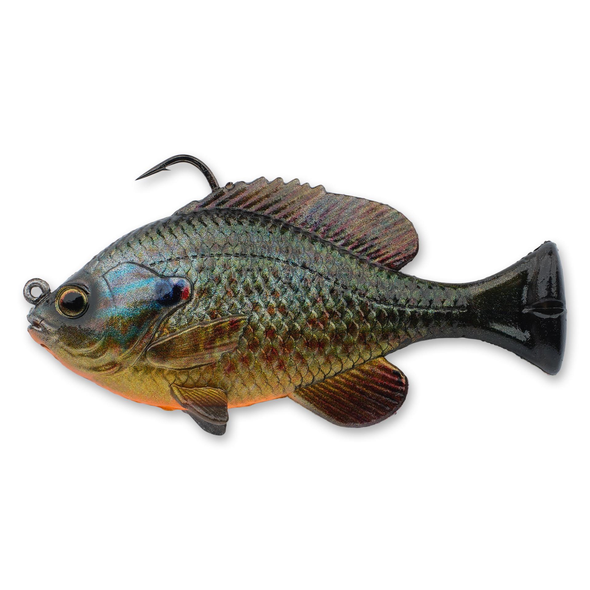 Pulse Tail Bluegill RTF - Image 32