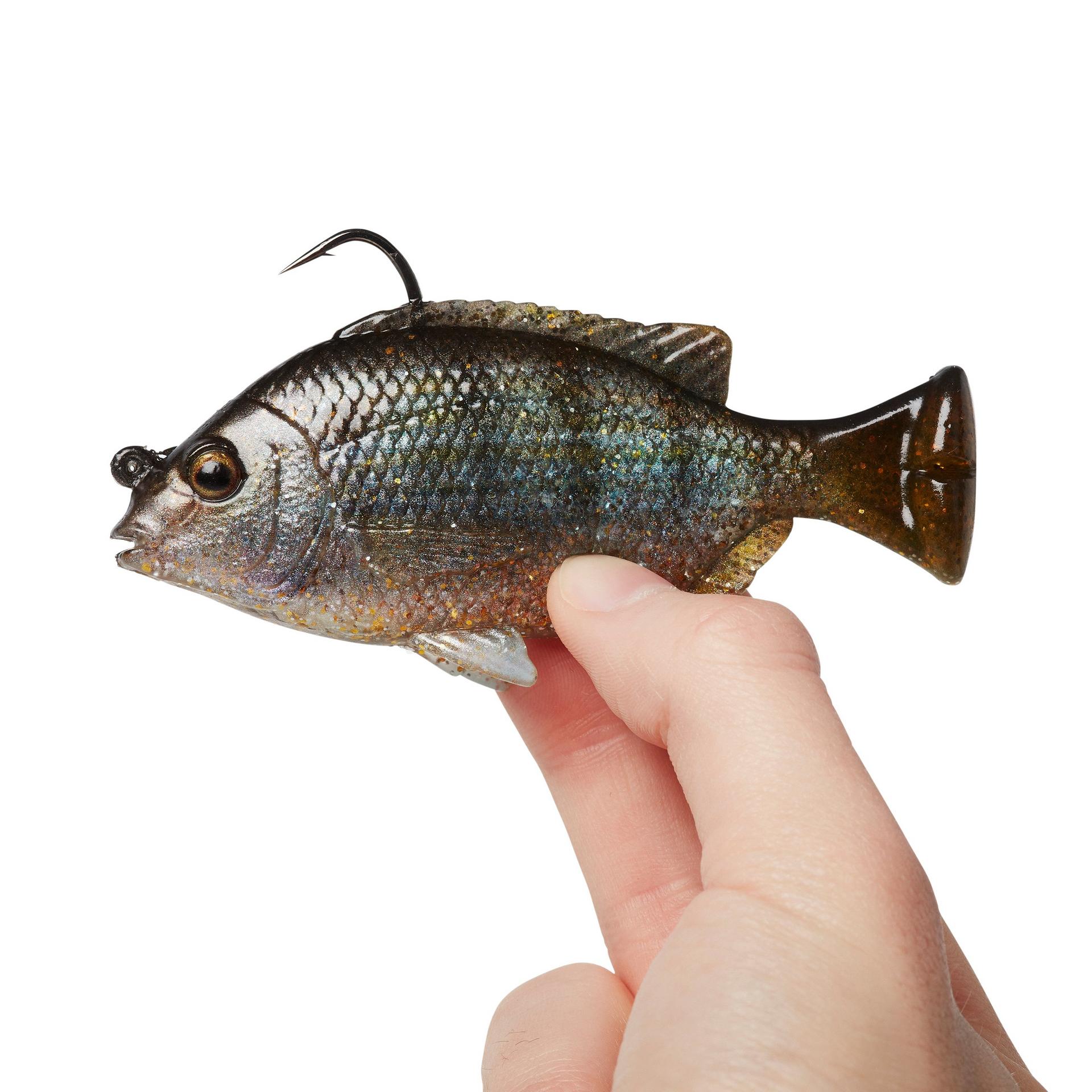 Pulse Tail Pinfish RTF - Image 10