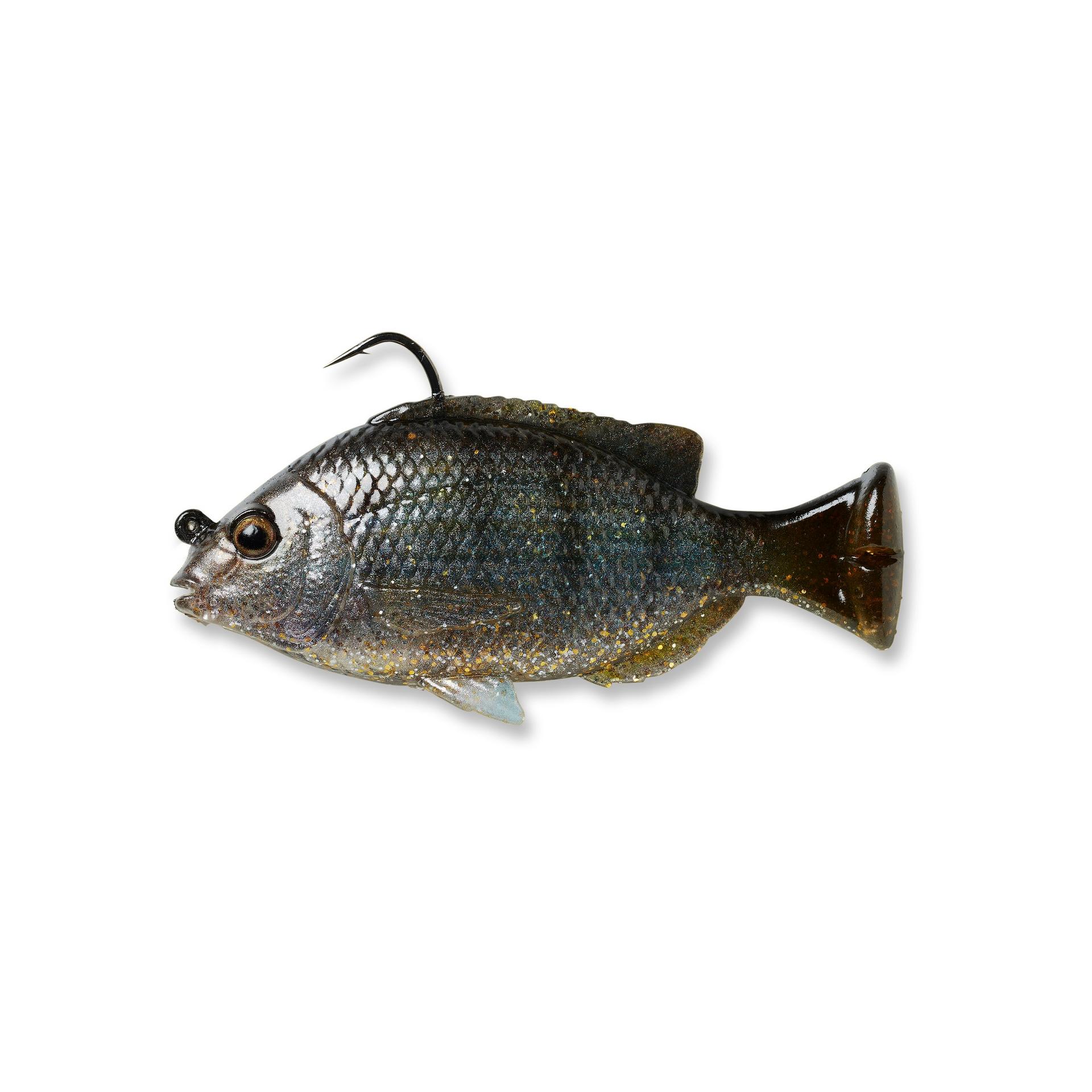 Pulse Tail Pinfish RTF - Image 12