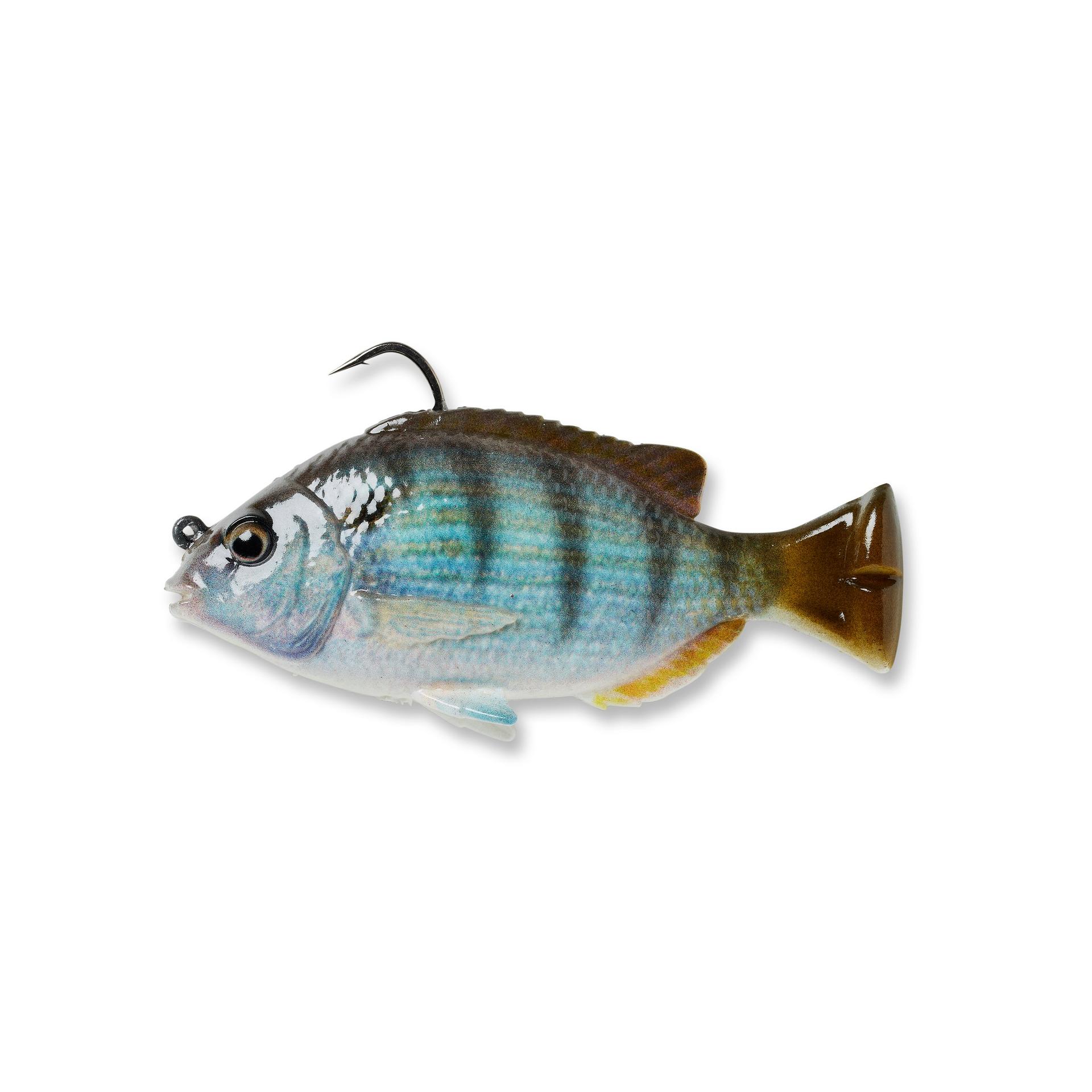 Pulse Tail Pinfish RTF - Image 14