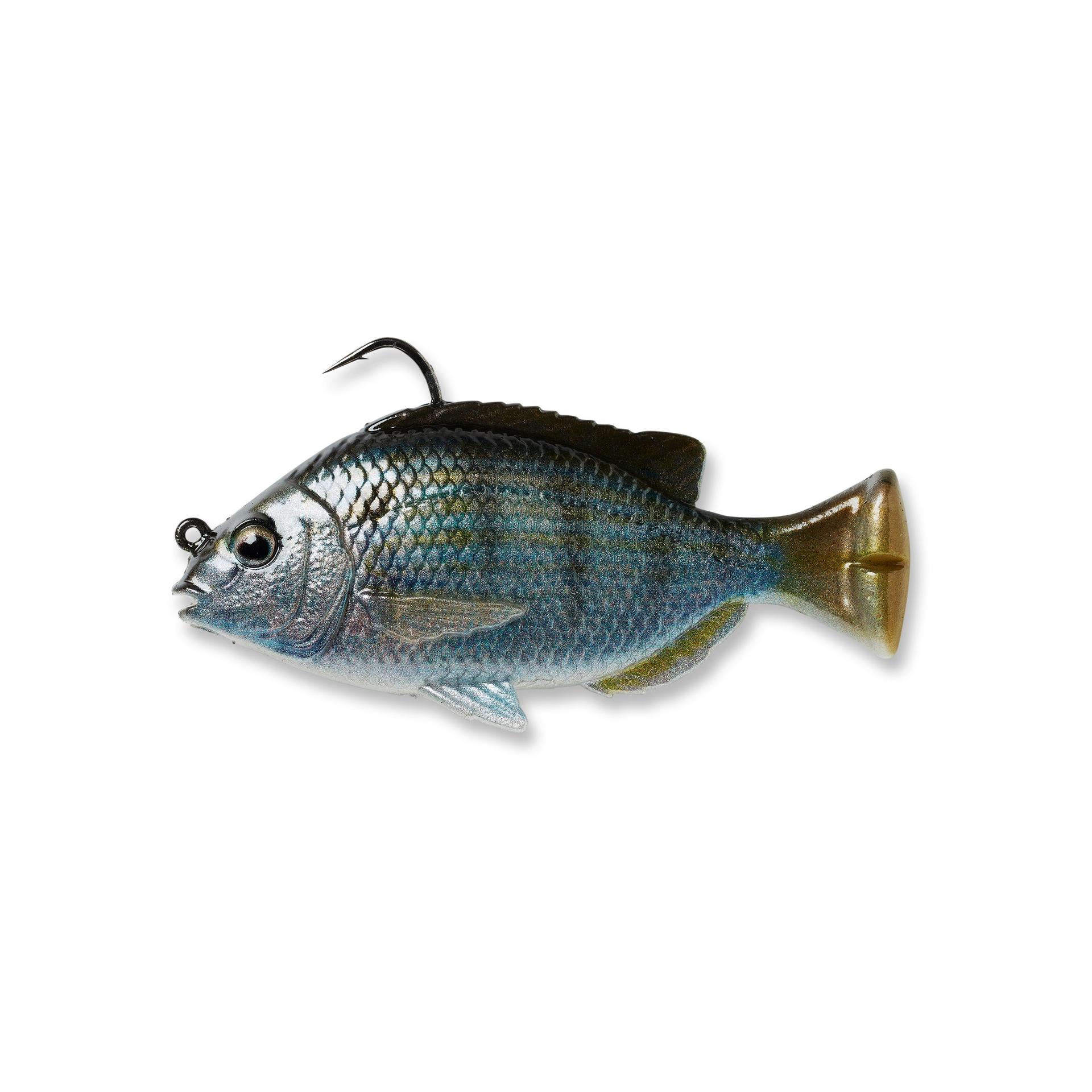 Pulse Tail Pinfish RTF - Image 15