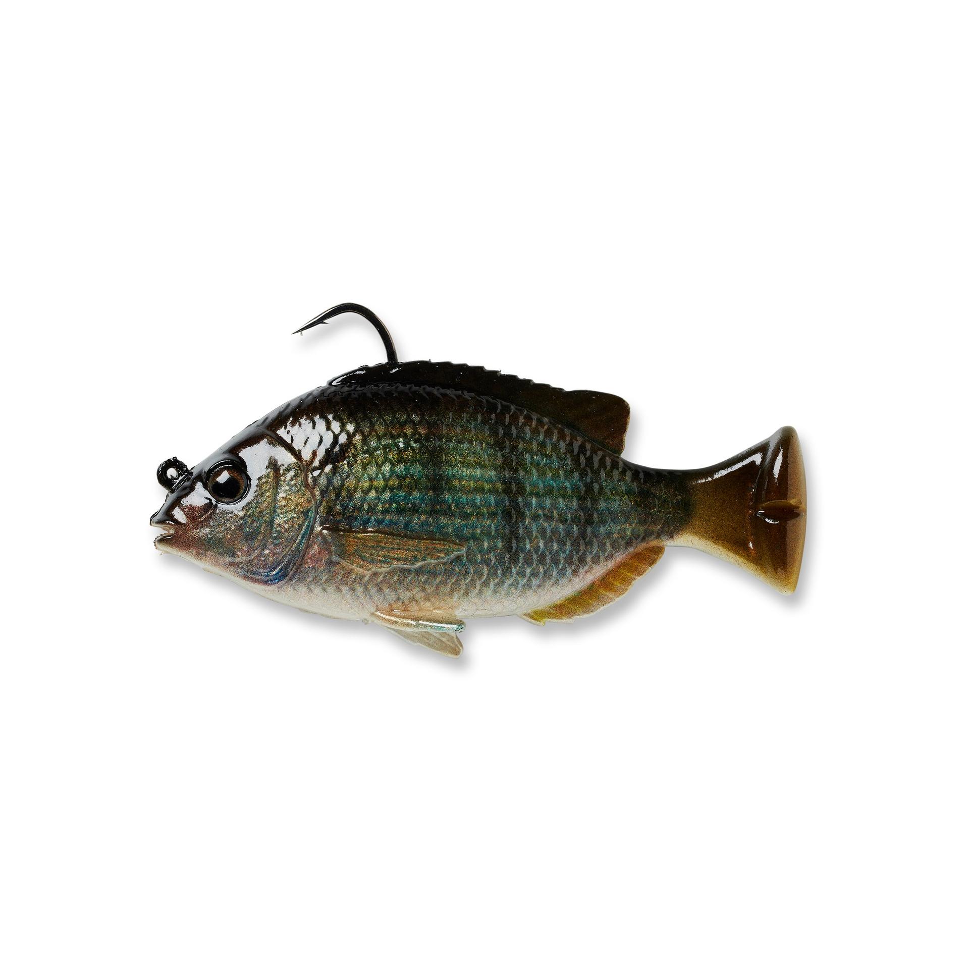 Pulse Tail Pinfish RTF - Image 17