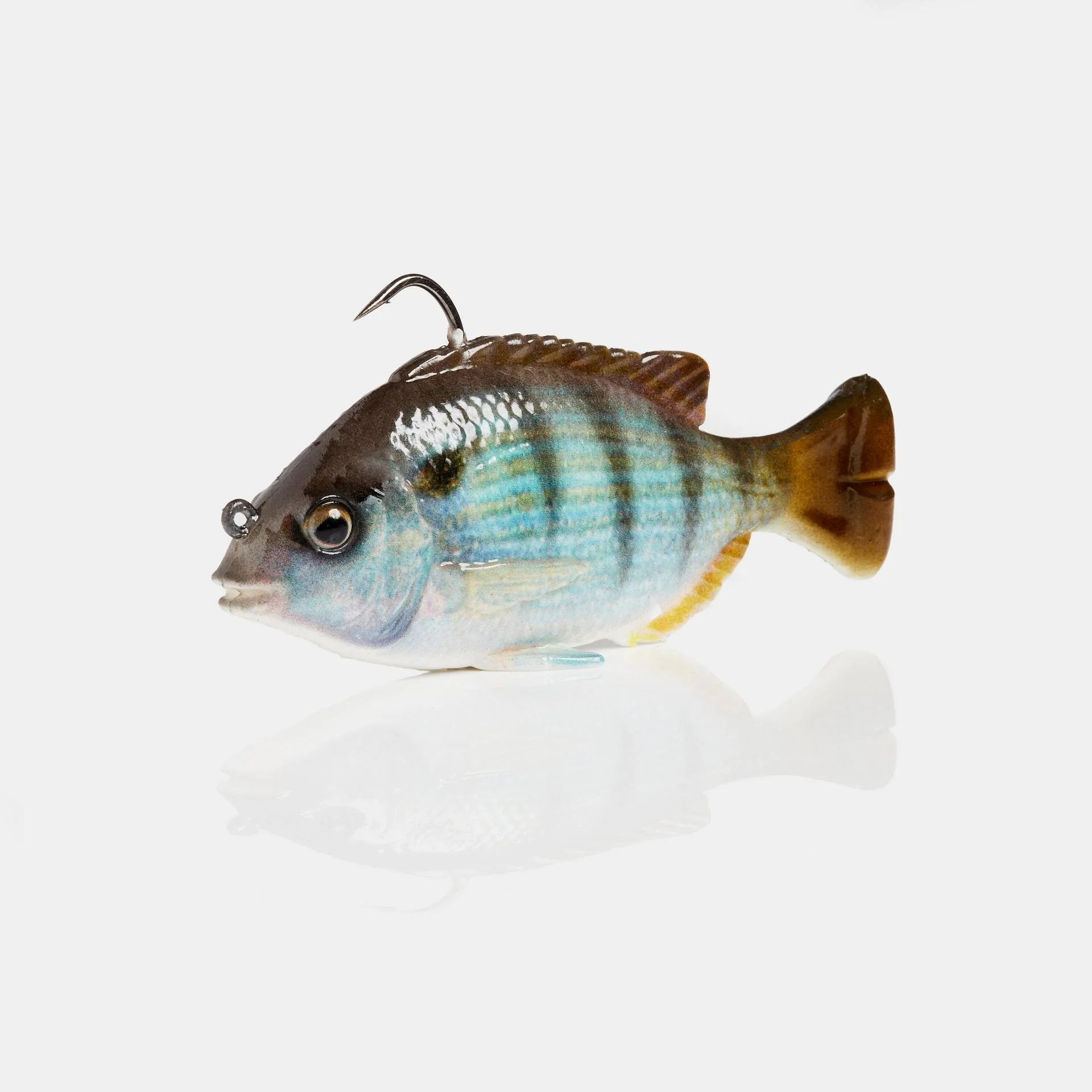 Pulse Tail Pinfish RTF - Image 4