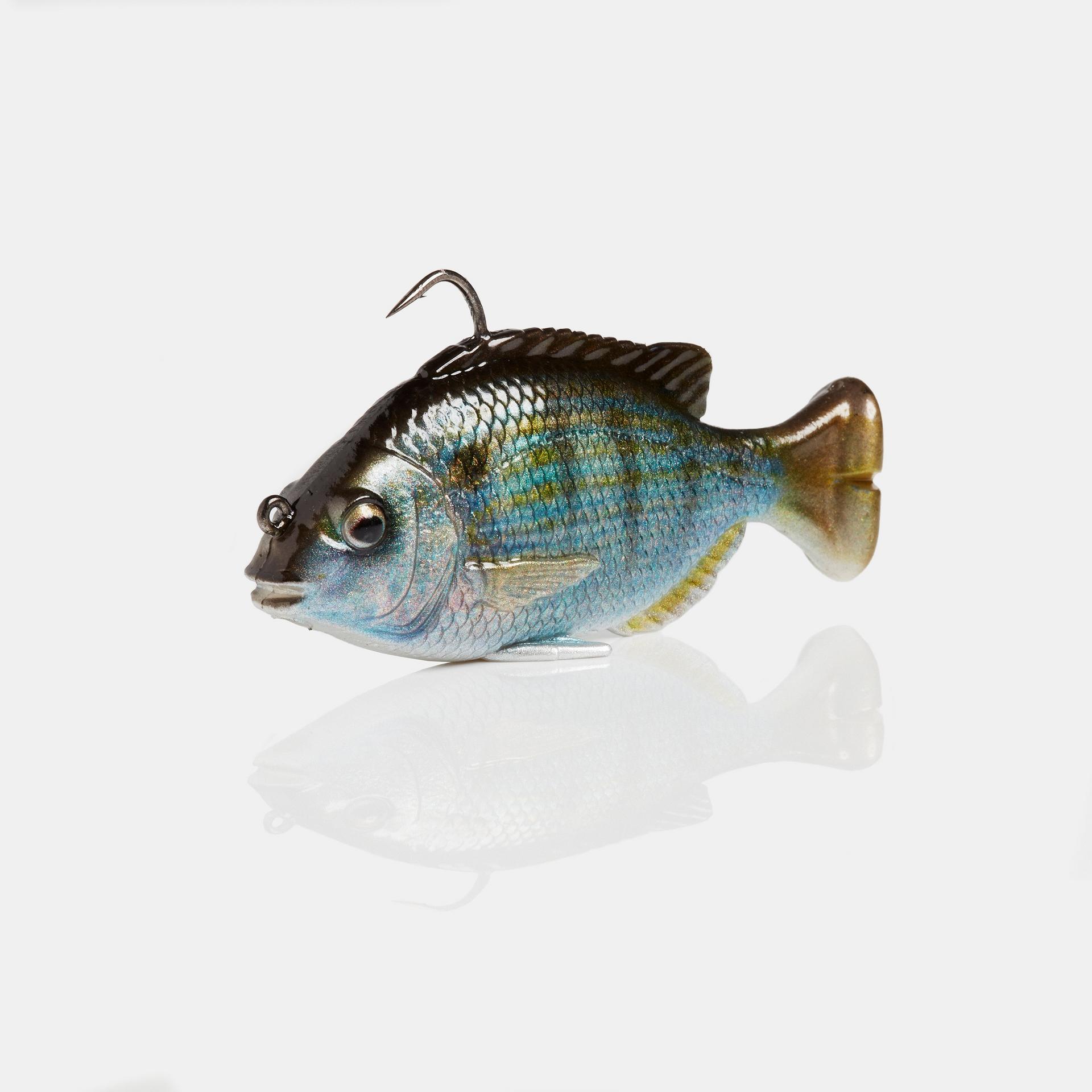 Pulse Tail Pinfish RTF - Image 5