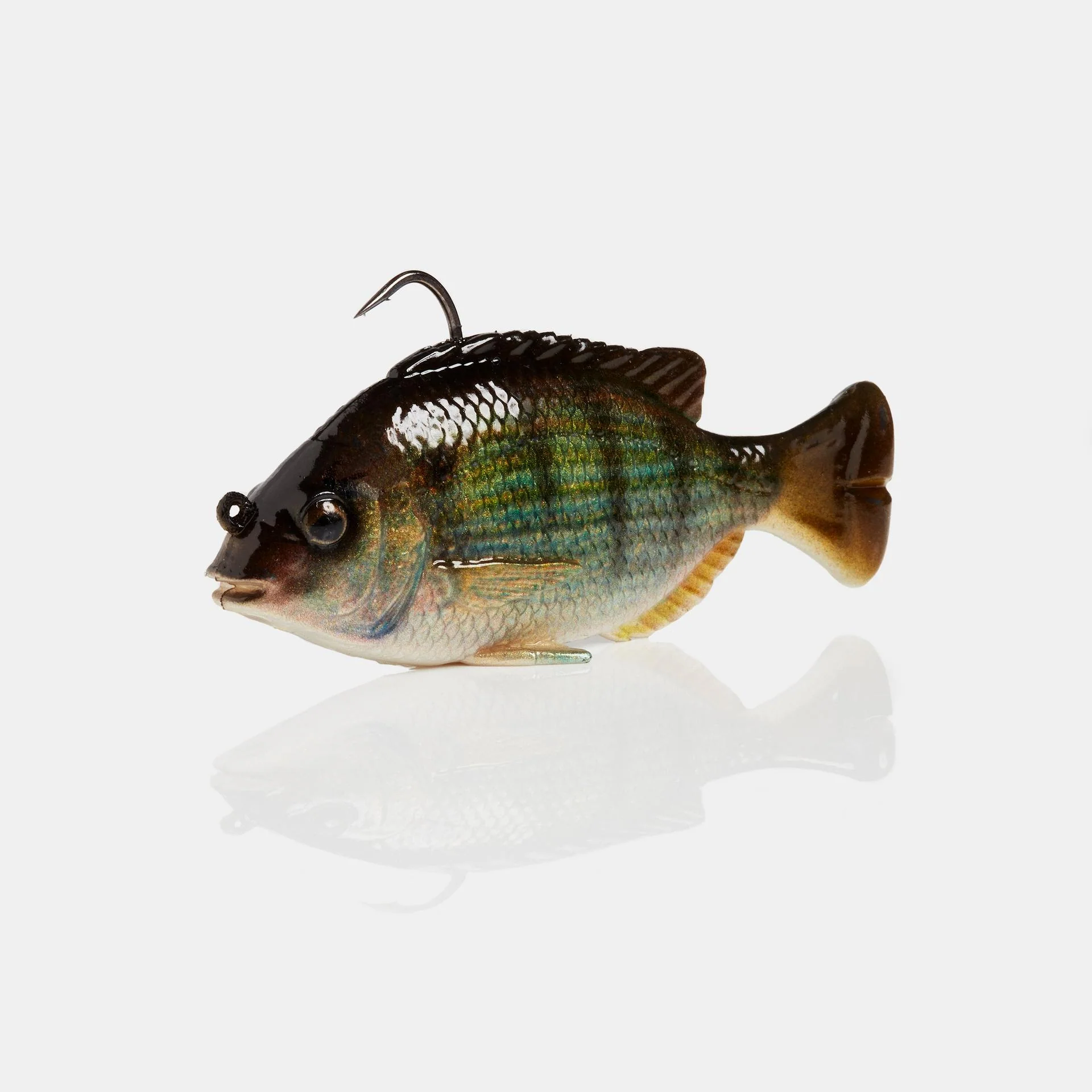 Pulse Tail Pinfish RTF - Image 7