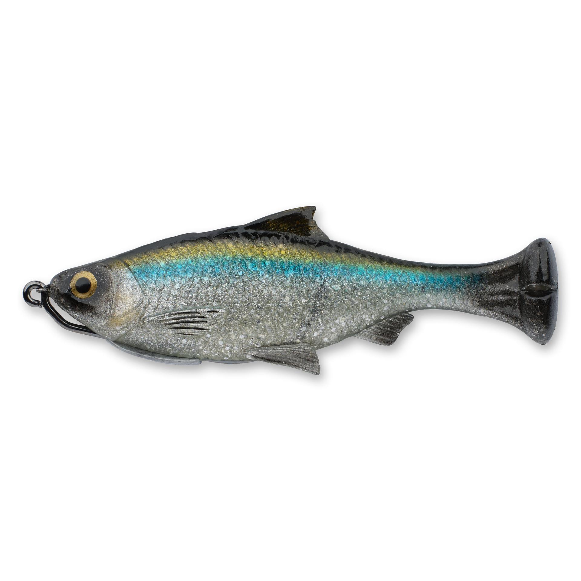 Pulse Tail Shiner Loose Body - Image 27