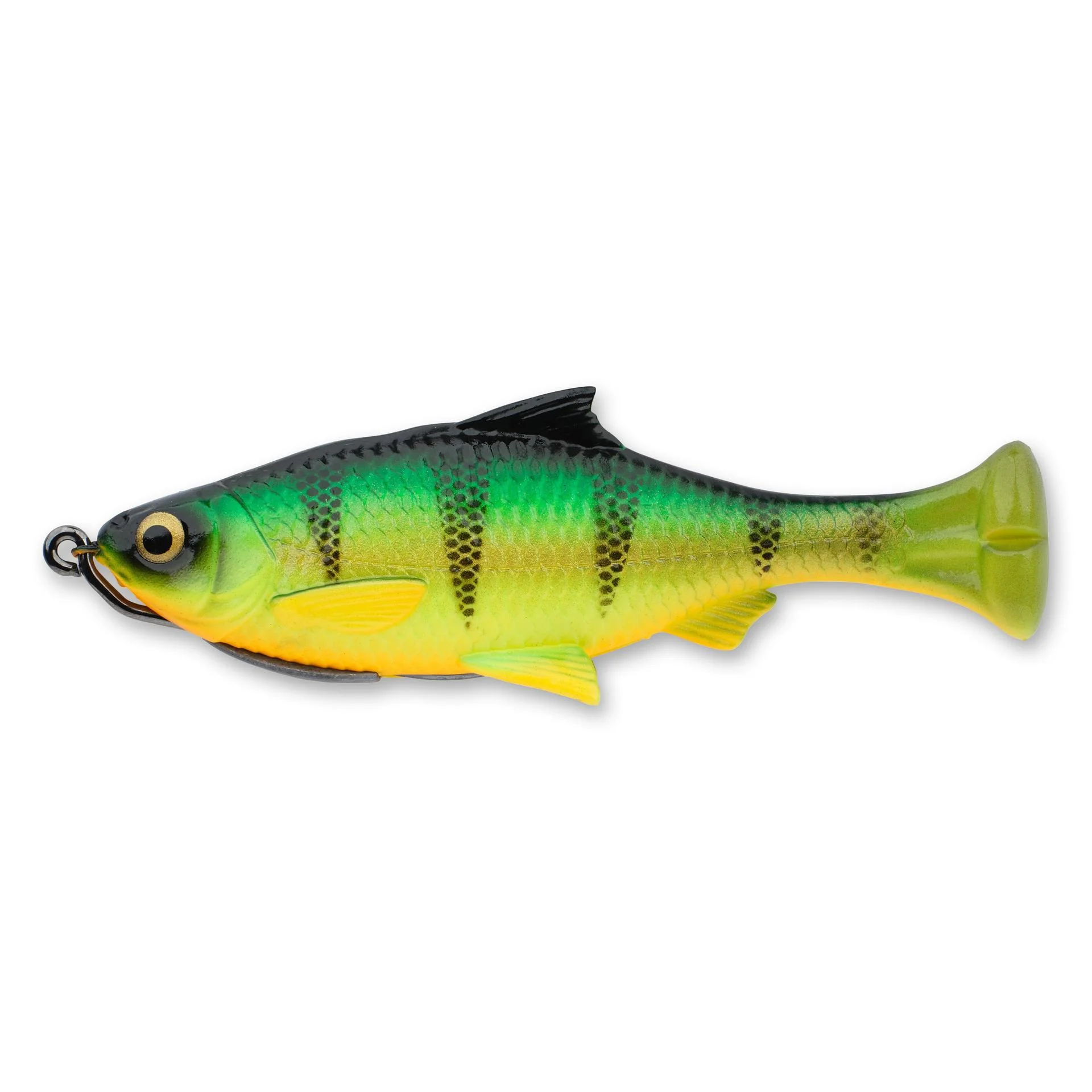 Pulse Tail Shiner Loose Body - Image 30