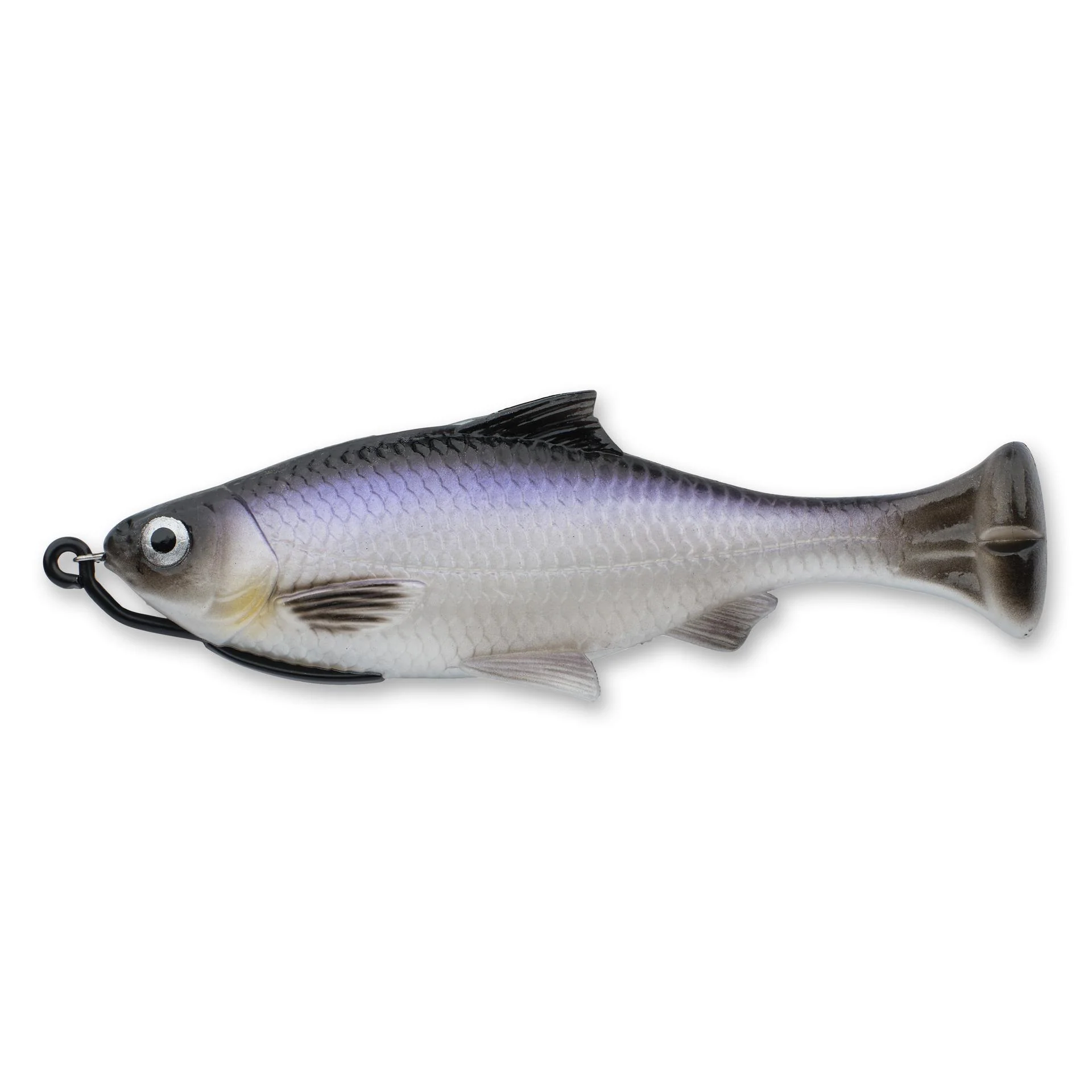 Pulse Tail Shiner Loose Body - Image 31